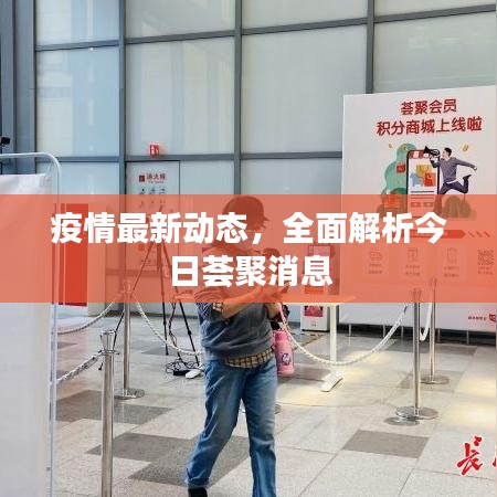 疫情最新动态,全面解析今日荟聚消息