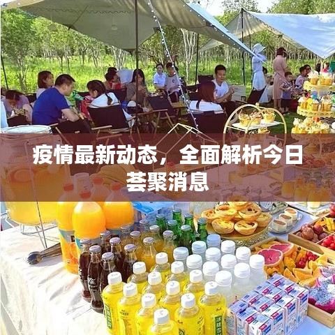 疫情最新动态,全面解析今日荟聚消息