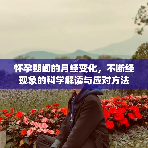怀孕期间的月经变化,不断经现象的科学解读与应对方法