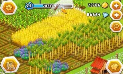 花上官方下载及全民农场激活码多少,最新研究解释定义_交互版1_v10.274