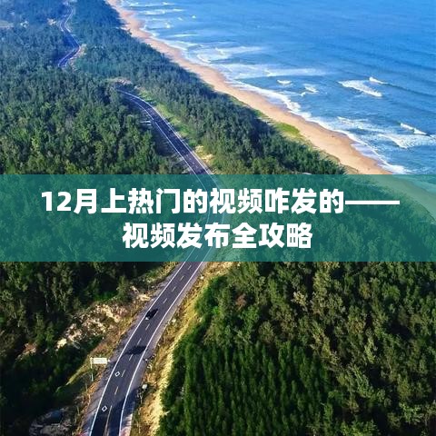 业务领域 第133页