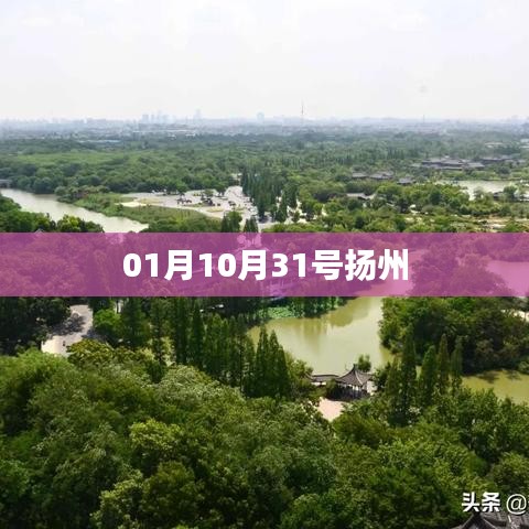 下马看花 第2页