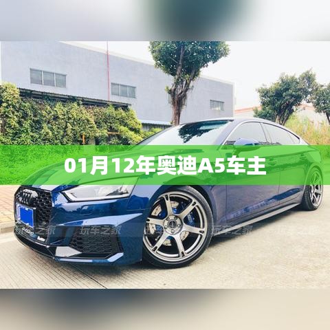 奥迪A5车主指南，车辆使用、保养与注意事项