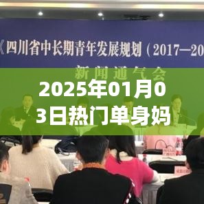 业务领域 第119页