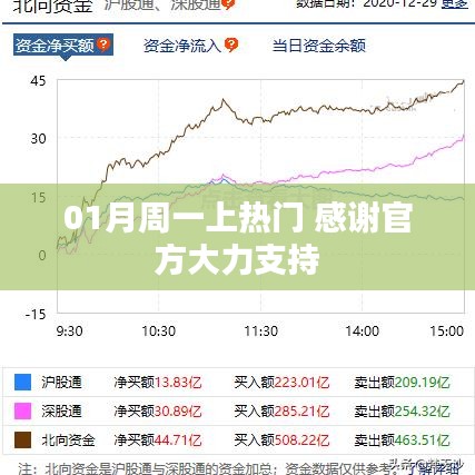 成功案例 第116页