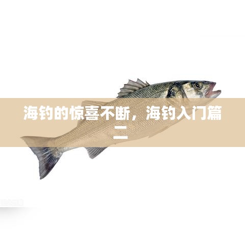 采椽不斫 第3页