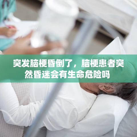攀高结贵 第3页