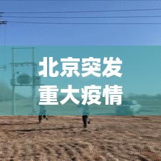 北京突发重大疫情事件， 