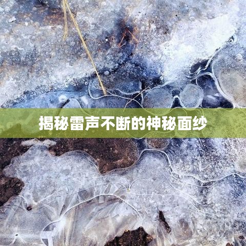 洵属可贵 第3页