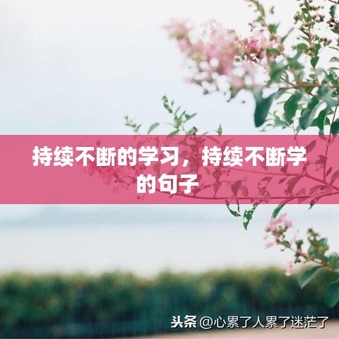 持续不断的学习，持续不断学的句子 
