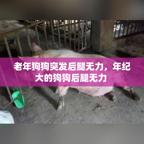 浅笑轻吟梦一曲 第2页
