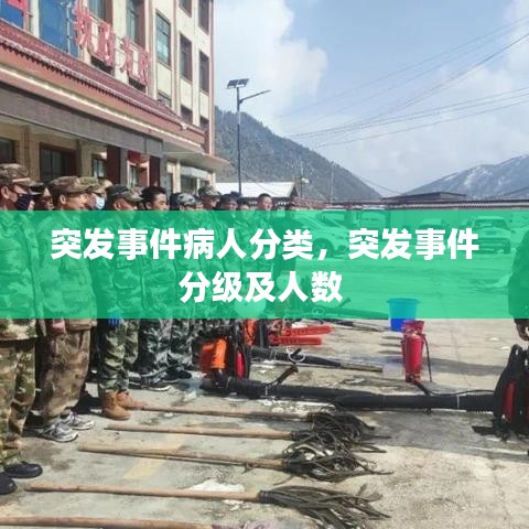admin 第3页