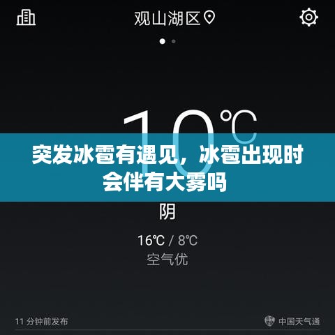 飞鸟依人 第3页