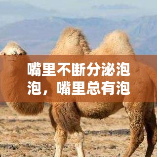 夜以继日 第2页