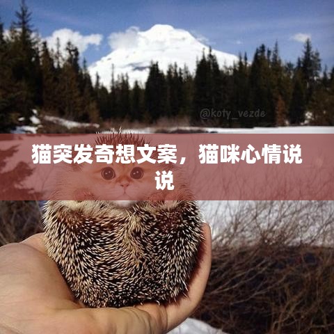 蛙蟆胜负 第2页