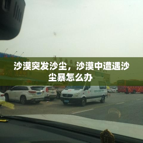 沙漠突发沙尘，沙漠中遭遇沙尘暴怎么办 