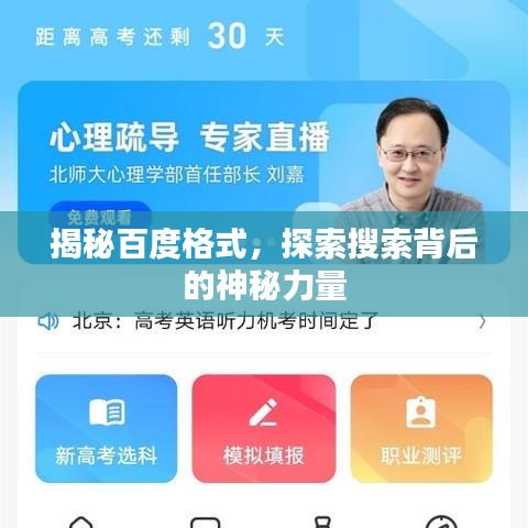 揭秘百度格式，探索搜索背后的神秘力量