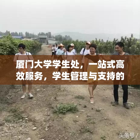 厦门大学学生处，一站式高效服务，学生管理与支持的新平台
