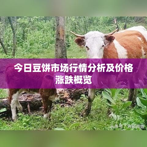 独一无二 第2页