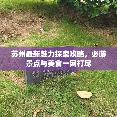 苏州最新魅力探索攻略，必游景点与美食一网打尽