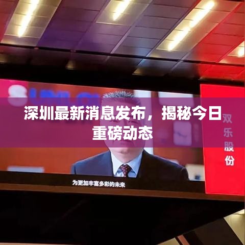 深圳最新消息发布，揭秘今日重磅动态