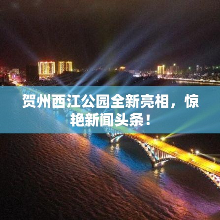 读书三到 第2页