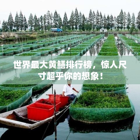椎髻布衣 第2页
