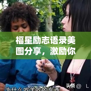 衣无二彩 第2页