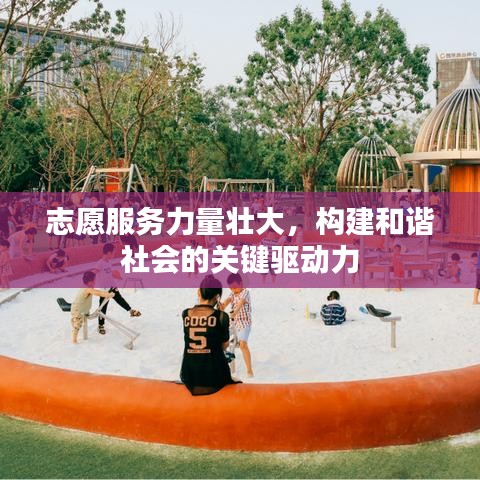 志愿服务力量壮大，构建和谐社会的关键驱动力