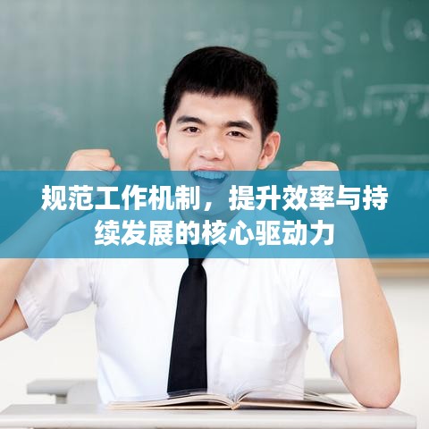 规范工作机制，提升效率与持续发展的核心驱动力