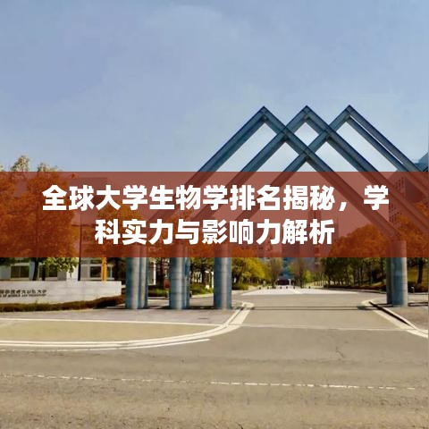 全球大学生物学排名揭秘，学科实力与影响力解析