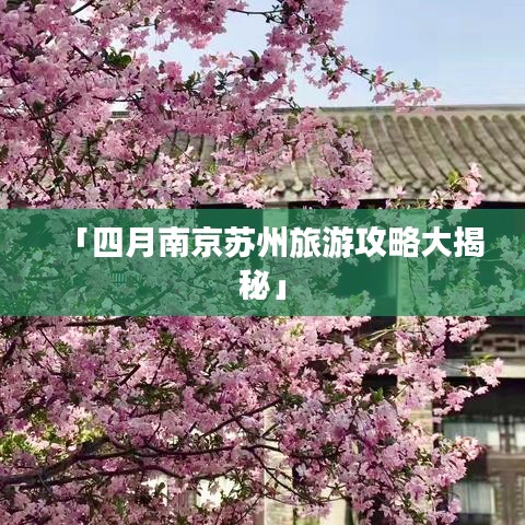 百鸟齐鸣 第2页