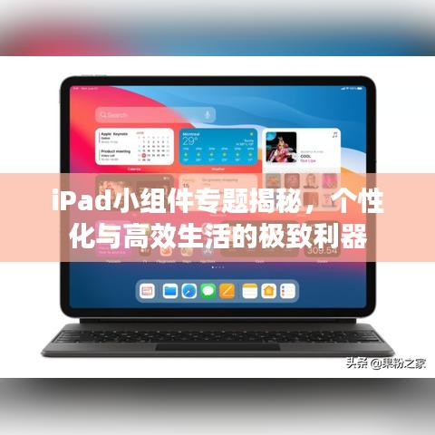 晋惠闻蛙 第2页