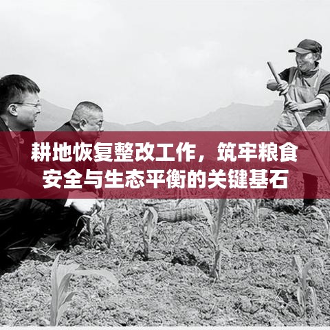耕地恢复整改工作，筑牢粮食安全与生态平衡的关键基石