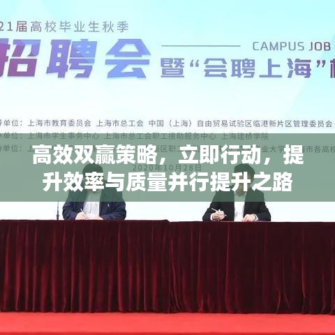 高效双赢策略，立即行动，提升效率与质量并行提升之路