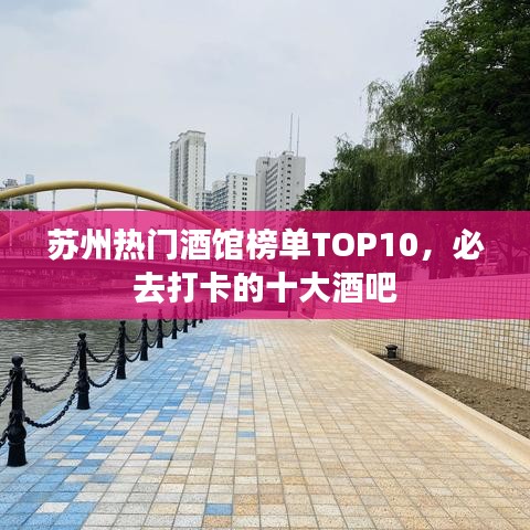 苏州热门酒馆榜单TOP10，必去打卡的十大酒吧