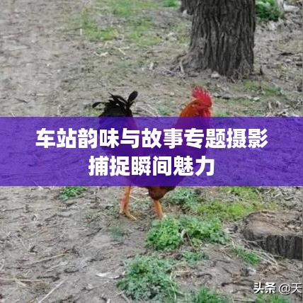 车站韵味与故事专题摄影捕捉瞬间魅力