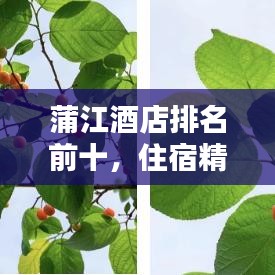 蛾眉曼睩 第2页