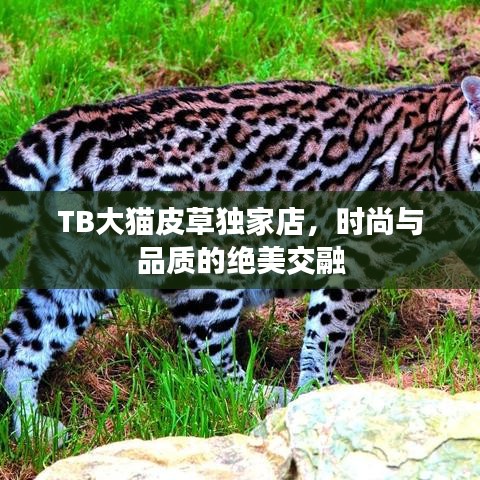 遍地开花 第2页