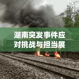 湖南突发事件应对挑战与担当展现风采 2017纪实