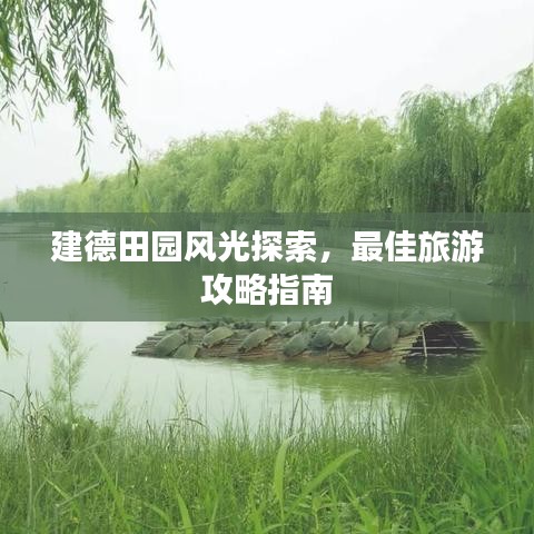 家成业就 第2页