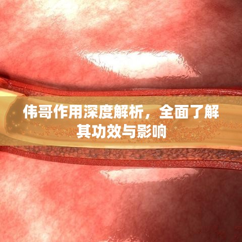 另谋高就 第2页