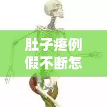 肚子疼例假不断怎么办？症状、原因及应对措施全解析