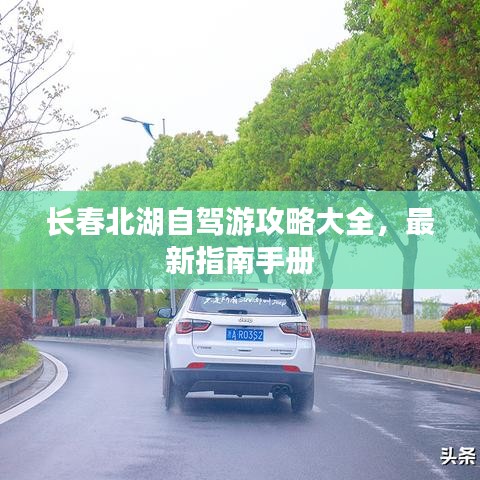 蚁出蚋飞 第2页