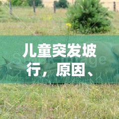 儿童突发坡行，原因、表现及应对攻略