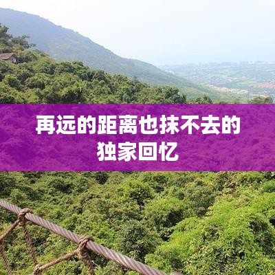 花开无言 第2页