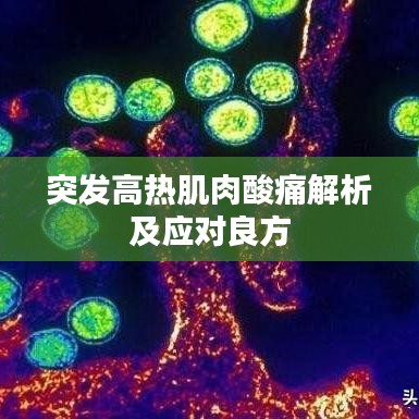 集思广益 第2页