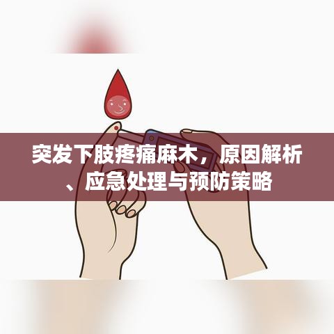 突发下肢疼痛麻木，原因解析、应急处理与预防策略