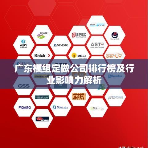 广东模组定做公司排行榜及行业影响力解析