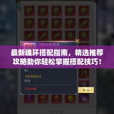 最新魂环搭配指南，精选推荐攻略助你轻松掌握搭配技巧！